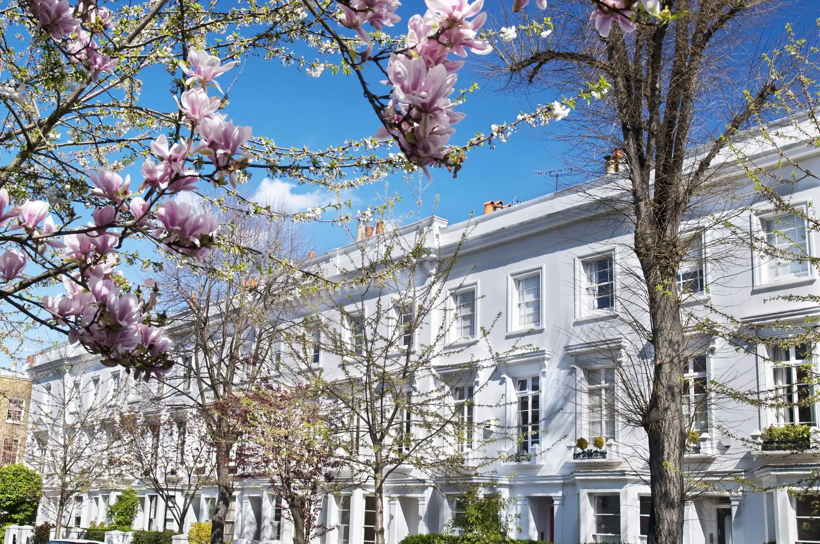 Kensington & Chelsea property management